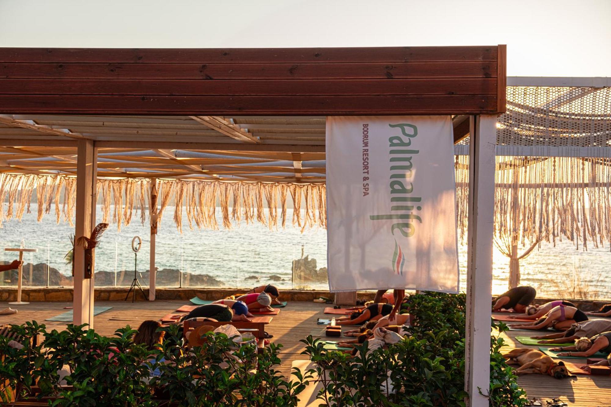 Palmalife Bodrum Resort & Spa Yalıkavak Exteriör bild